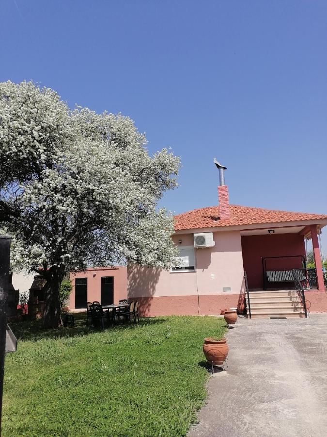 Αξέχαστη Διαμονή - Unforgettable Accommodation Nea Kallikrateia Exteriör bild